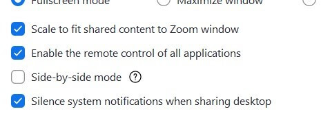 Optimize Zoom Settings
