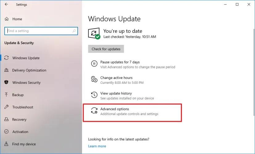 update Windows 11
