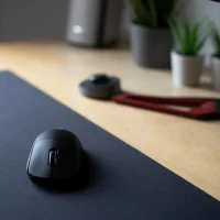 How To Clean Your Computer Mouse Without Damage
