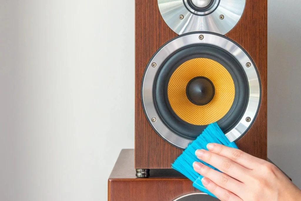 use damp cloth to clean dust of speakers